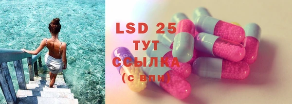 спайс Верея