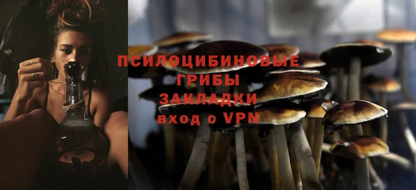 spice Верхний Тагил