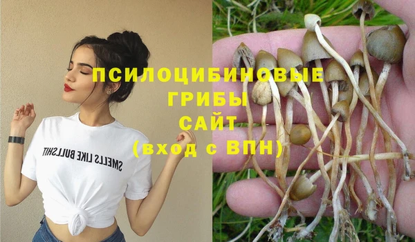 spice Верхний Тагил