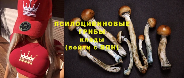 спайс Верея