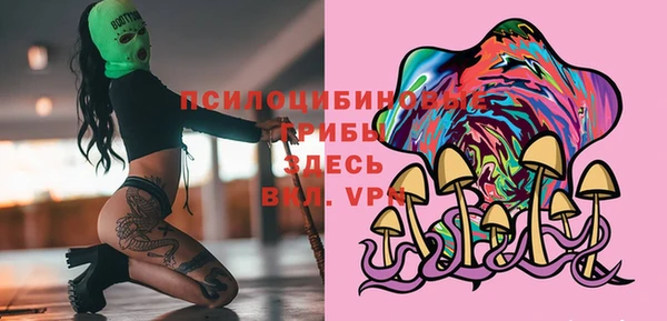 спайс Верея